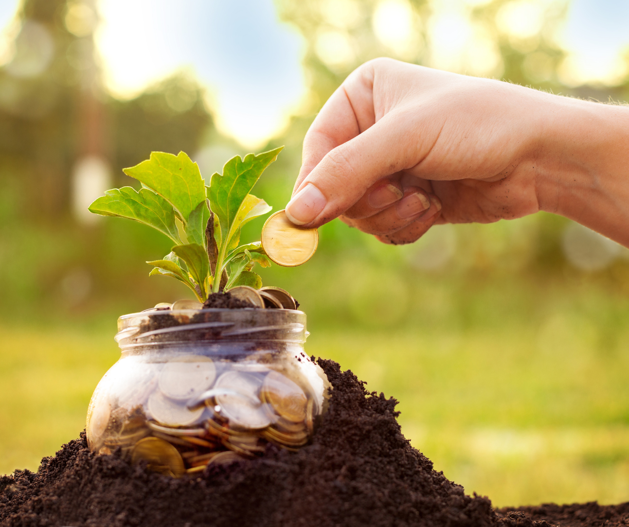 Poupança Média por Idade: Como Sua Poupança Se Compara?