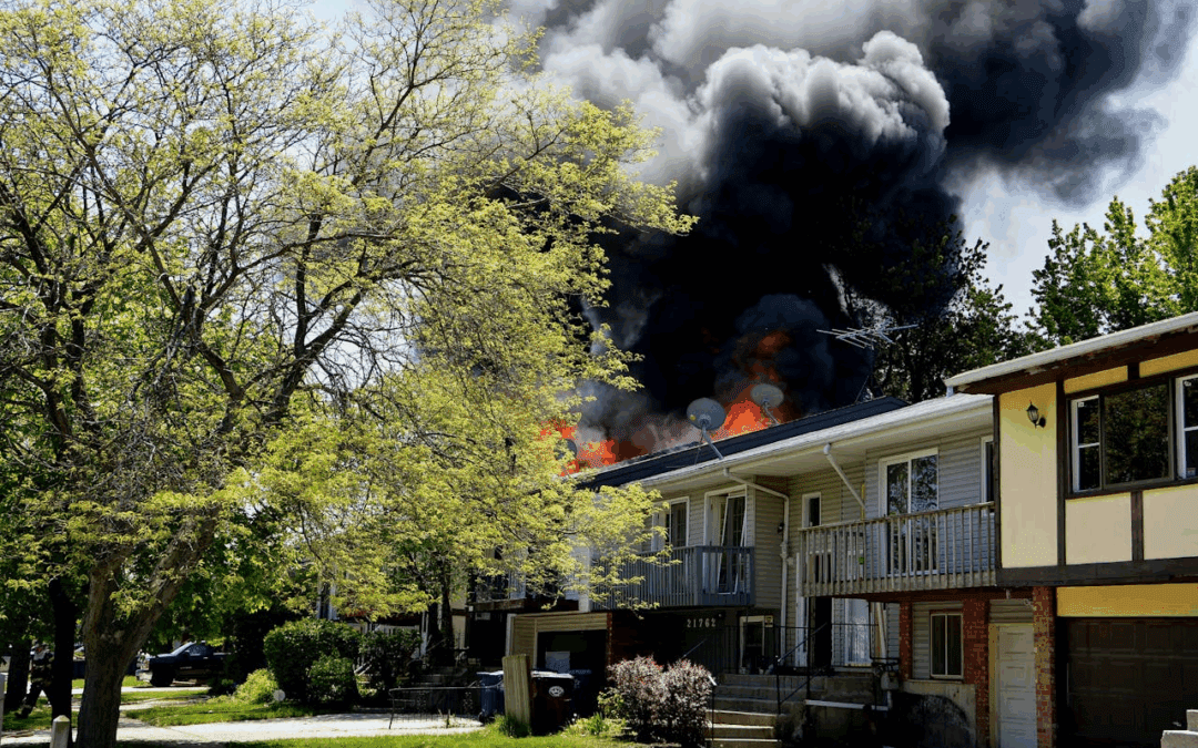 Seguro Contra Desastres Naturais: É Relevante No Brasil?