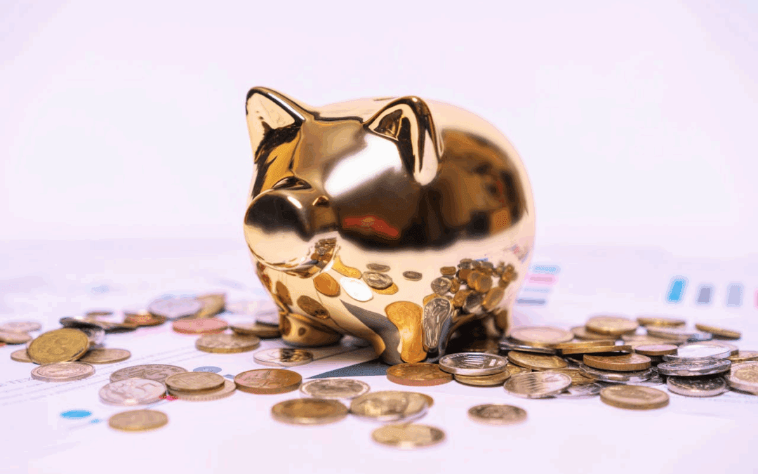 Conta Salário: Benefícios, Riscos e Transferências